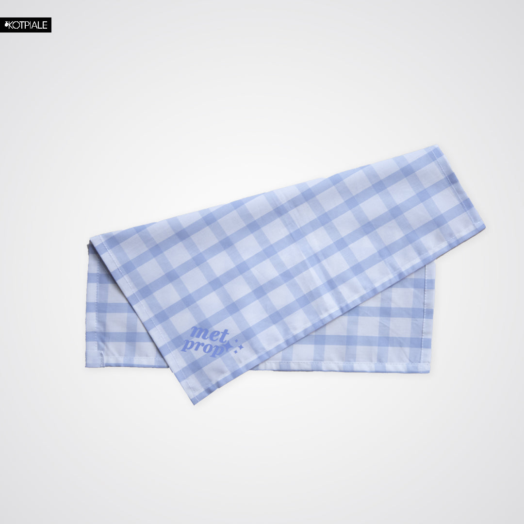 Handkerchief | Check Blue